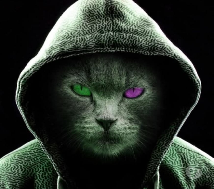 exhib Binche Binche-Centrum - Photos Vivastreet Recherche femme pour rencontre cool sans prise DT