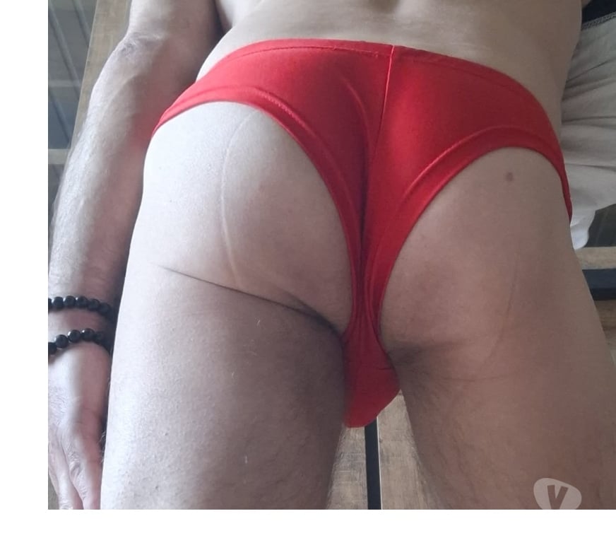 Gay Forest - Photos Vivastreet viens me la métré