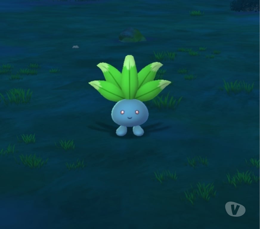 Gay Ath Ath-Centrum - Photos Vivastreet Cherche sur ath discret