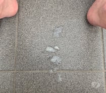 Très envie de sucer mec discret max 40 ans