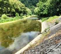 Tu veux pénis et sperme ?