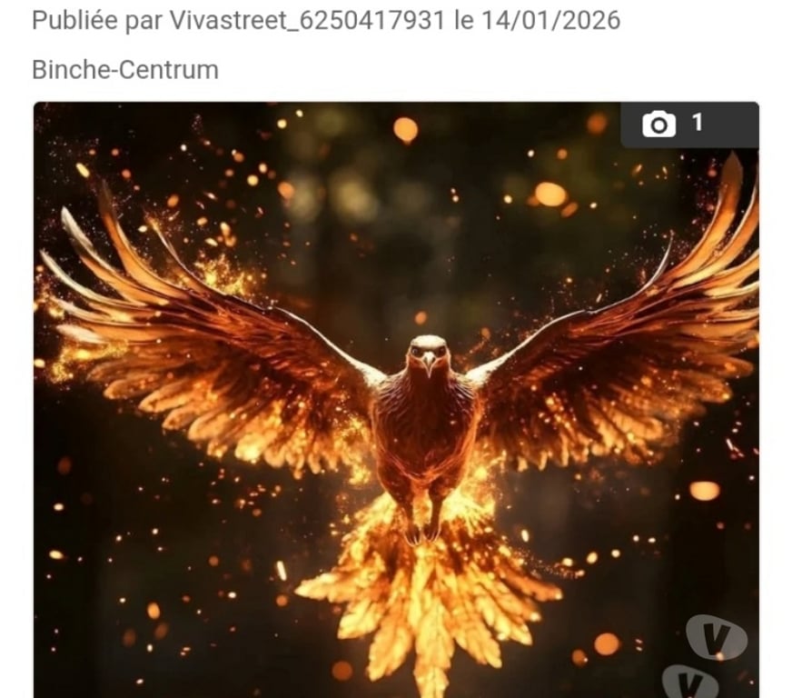 exhib Binche Binche-Centrum - Photos Vivastreet Recherche femme +18