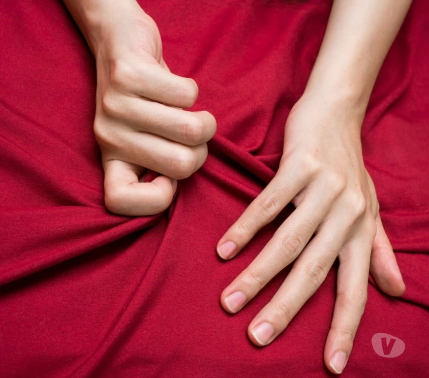 exhib Liège Liège-Centrum - Photos Vivastreet La langue qui fait la différence