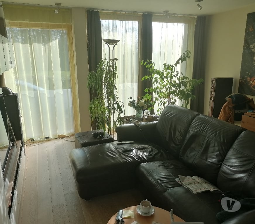 exhib Namur Bouge - Photos Vivastreet Je masturbe lèche masse caresse etc tout ce que