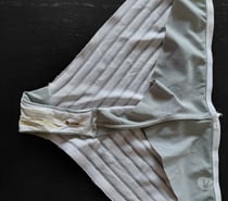 Un pervers bi pour venir s'amuser sur petite culotte ?