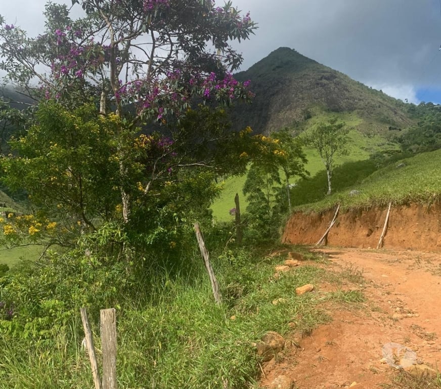 Terres agricoles Brésil - Photos Vivastreet Domaine Éco-Équestre 20 Ha