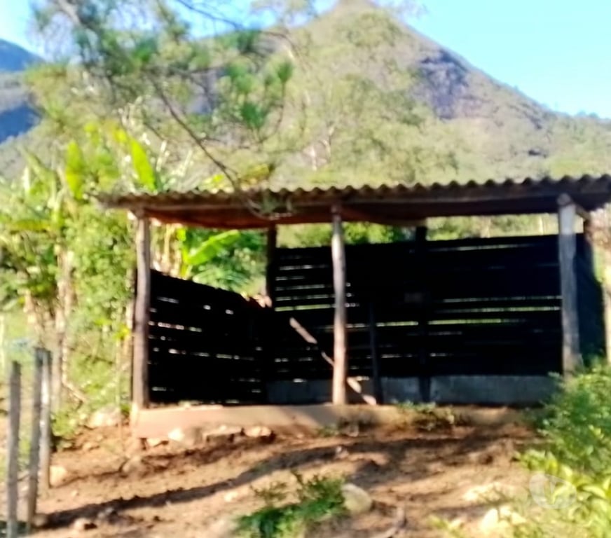 Terres agricoles Brésil - Photos Vivastreet Domaine Éco-Équestre 20 Ha