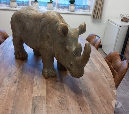 Décoration & art - Photos Vivastreet Magnifique rhinocéros à poser en parfait état