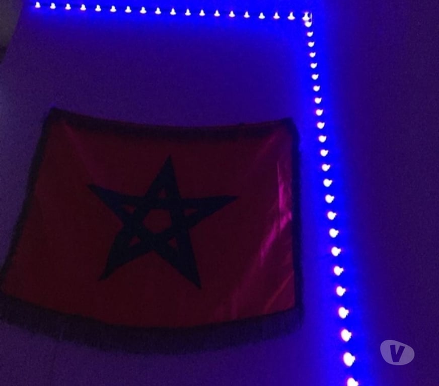 exhib Bruxelles (Brussels) Bruxelles-Centrum - Photos Vivastreet Jeune 🇲🇦 disponible pour toi ! 🫵