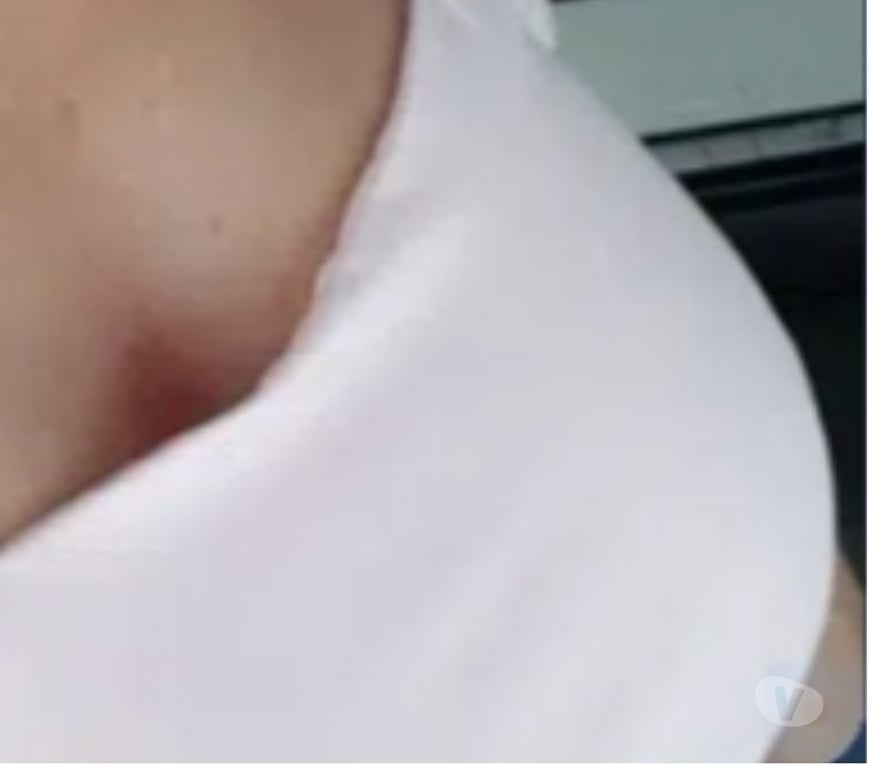 exhib Namur Beez - Photos Vivastreet ###########################################