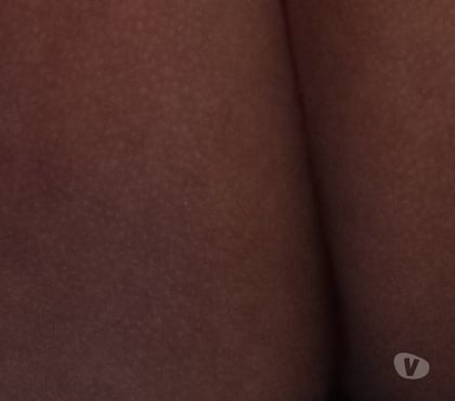 Rencontre gay Beez Namur - Photos Vivastreet Jeune chienne reçoit à 4 pattes