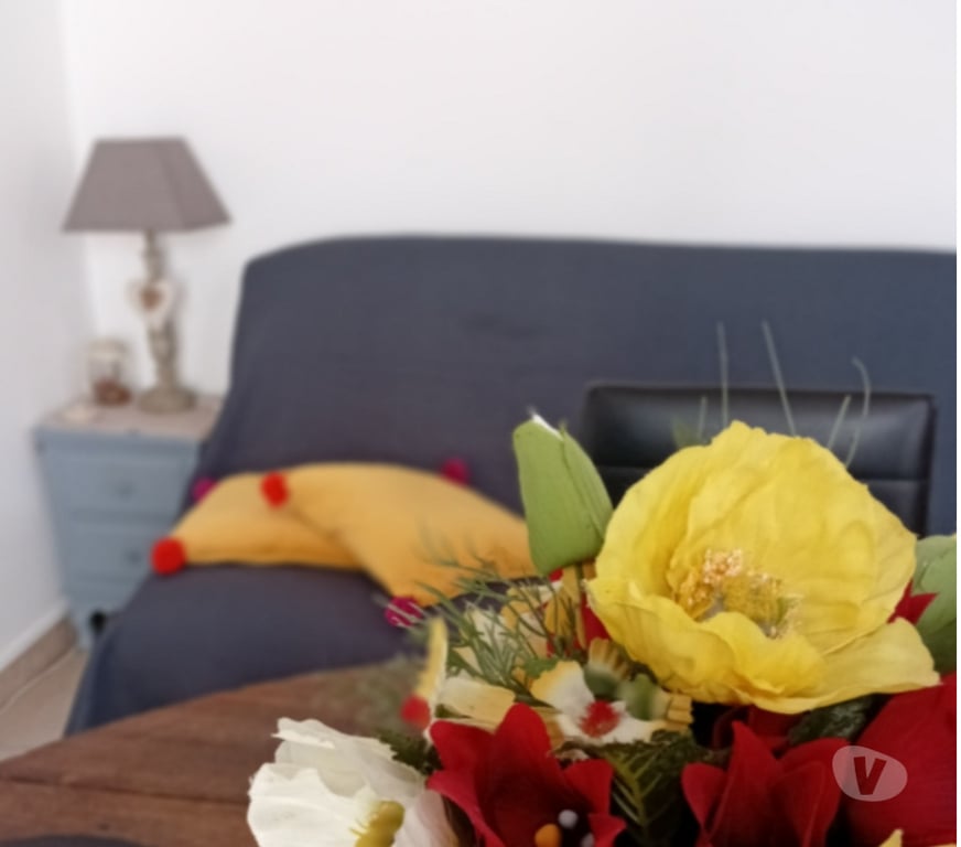 Location vacances France - Photos Vivastreet Gite de Charme, climatisé, piscine en Provence