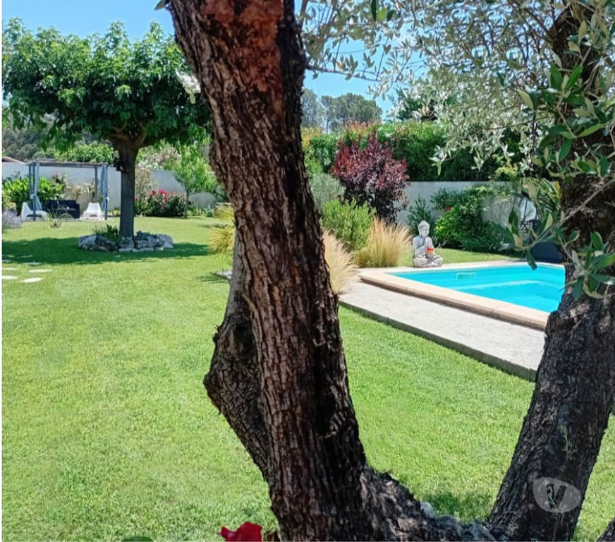 Location vacances France - Photos Vivastreet Gite de Charme, climatisé, piscine en Provence