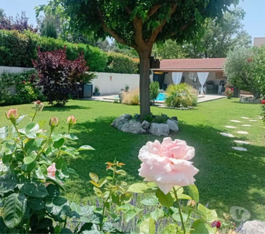 Location vacances France - Photos Vivastreet Gite de Charme, climatisé, piscine en Provence