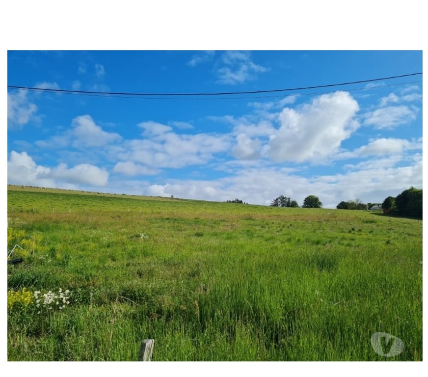 Terrains à vendre Tenneville Laneuville-au-Bois - Photos Vivastreet Ortheuville : terrain de 21a 06ca, belle situation au calme