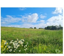 Ortheuville : terrain de 21a 06ca, belle situation au calme