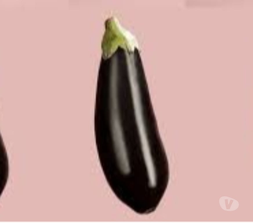 Gay Mons Cuesmes - Photos Vivastreet Je suce et avale Mâle BM et Bien dur