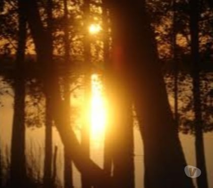 annonce coquine Tournai-Centrum Tournai - Photos Vivastreet Recherche jeune femme pour soft, moment affectueux max 26a