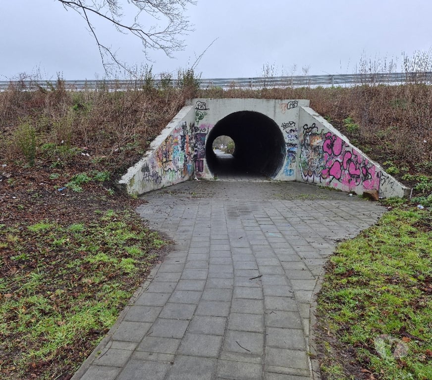 exhib Mons Ghlin - Photos Vivastreet Tunnel très discret ...