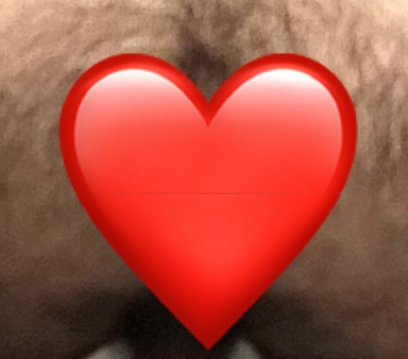 Qui me reçois demain midi