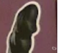 Je reçois cul dispo pour mon gode