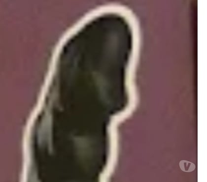 Rencontre gay - Photos Vivastreet Je reçois cul dispo pour mon gode