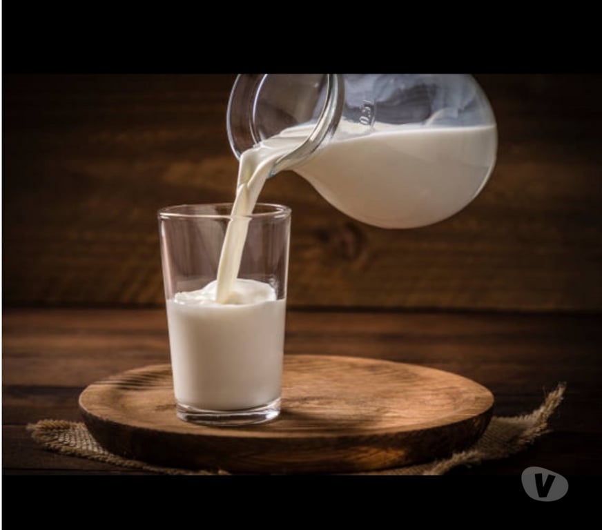 Gay Sprimont Sprimont-Centrum - Photos Vivastreet Cherche Sex Bareback