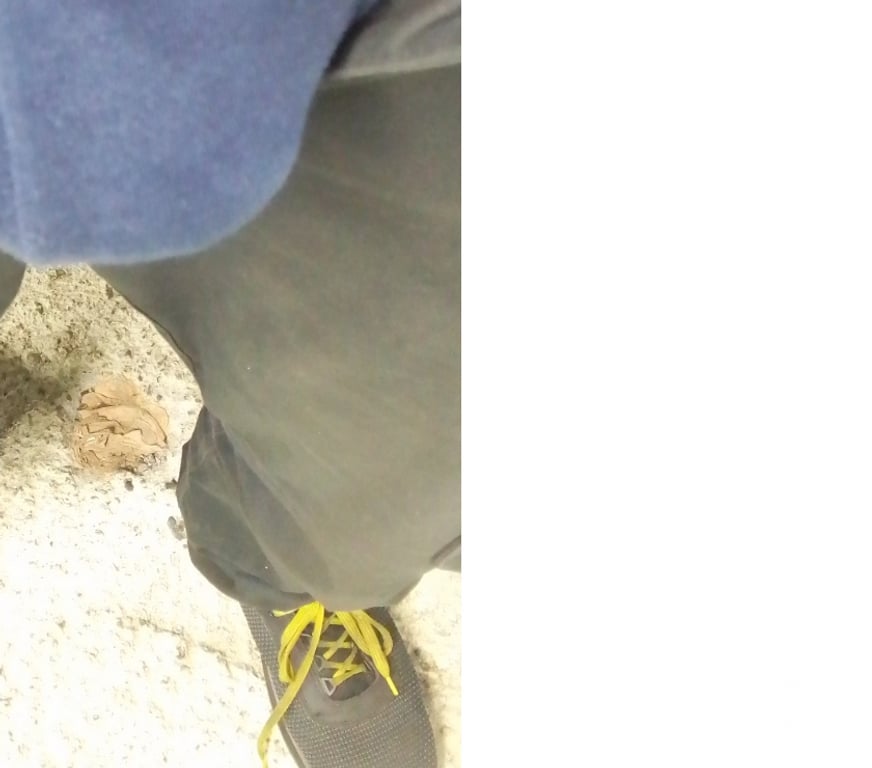 Gay Andenne - Photos Vivastreet Bon suceur libre facilement