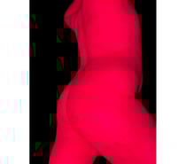 Bouche gourmande - min 42 ans