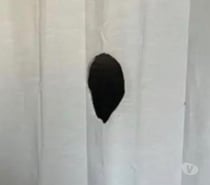 Glory hole à Braine