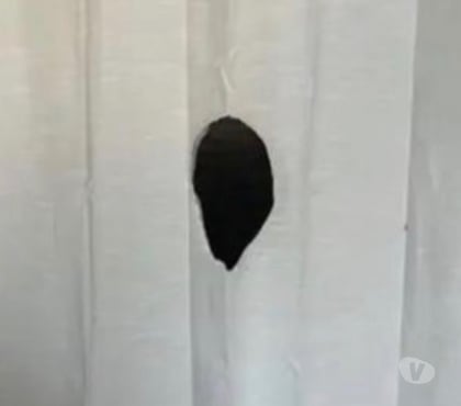 Rencontre gay - Photos Vivastreet Glory hole à Braine