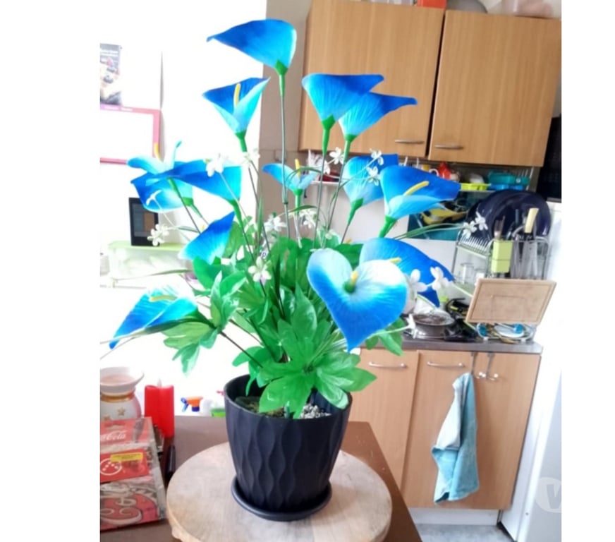 Décoration - art Tournai Tournai-Centrum - Photos Vivastreet fleur artificielle 55 cm de haut en pot