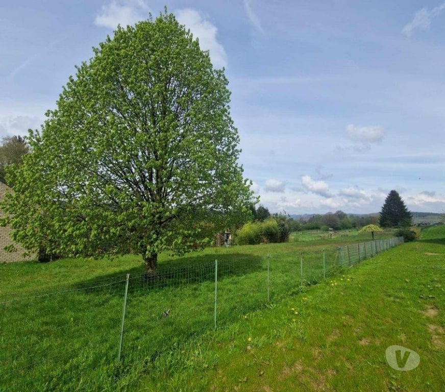 Terrains à vendre Gribômont - Photos Vivastreet 6887 HERBEUMONT : Beau terrain de 22a30ca avec belle vue.
