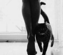 Mature 45 ans proche Maubeuge pour relation sexe friend