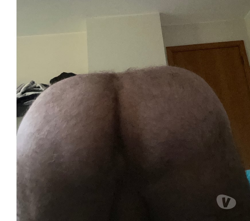 Gay Sprimont Sprimont-Centrum - Photos Vivastreet Bear passif ch h mature actif à sucer vers 19h