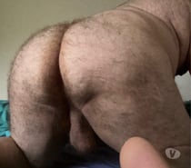 Bear passif ch h mature actif à sucer vers 19h