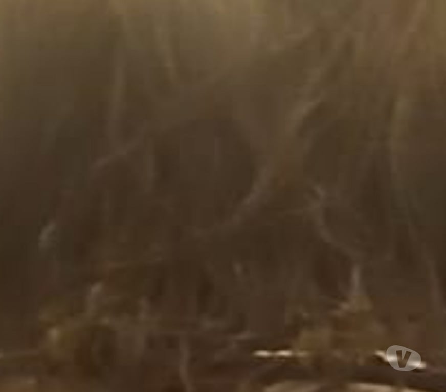 Gay Schaerbeek - Photos Vivastreet Black mature tv occasionnel