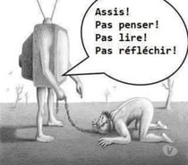 truie a dispo par son maitre