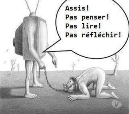 Gay Neu-Moresnet Kelmis - Photos Vivastreet truie a dispo par son maitre