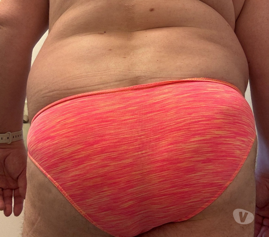 exhib Stavelot - Photos Vivastreet Nounours affectueux