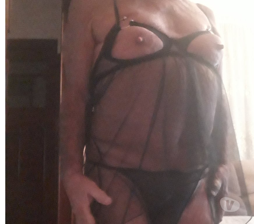 Gay Wemmel - Photos Vivastreet Une grosse bite dans ma bouche