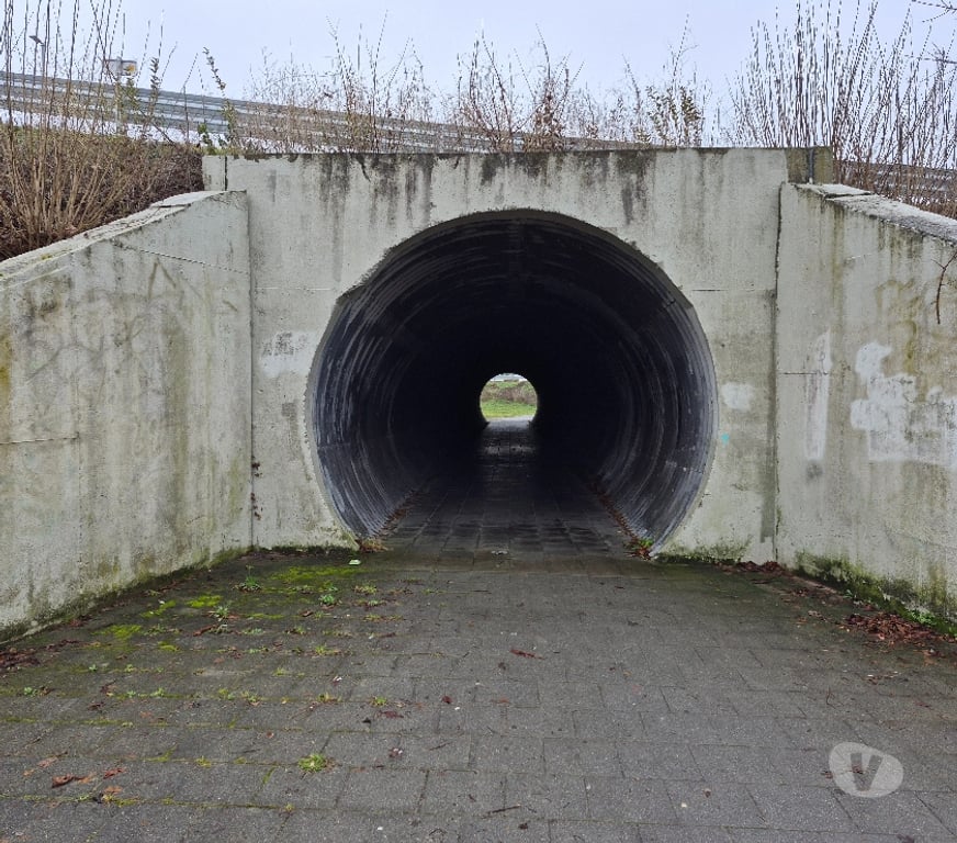 exhib Mons Ghlin - Photos Vivastreet Lieu de rencontre sur Mons ...