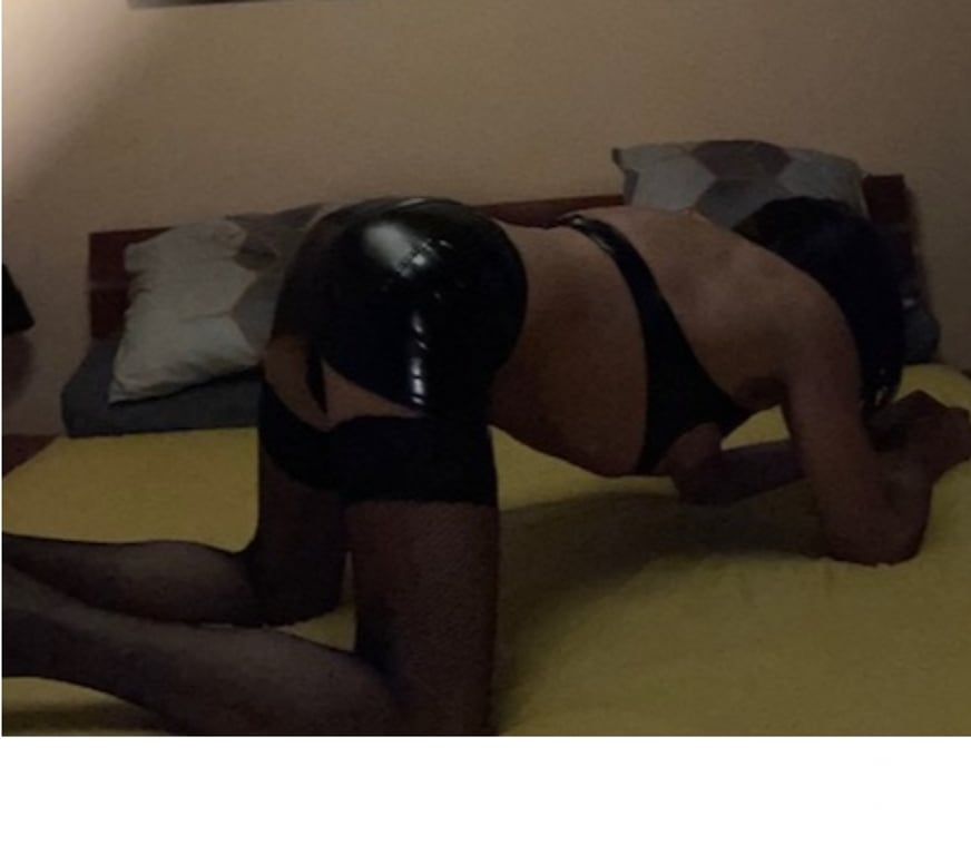 Gay Bruxelles (Brussels) Bruxelles-Centrum - Photos Vivastreet chienne tv pour TOP