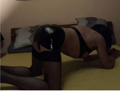 Gay Bruxelles-Centrum Bruxelles (Brussels) - Photos Vivastreet chienne tv pour TOP