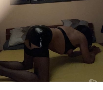 Gay Bruxelles-Centrum Bruxelles (Brussels) - Photos Vivastreet chienne tv pour TOP