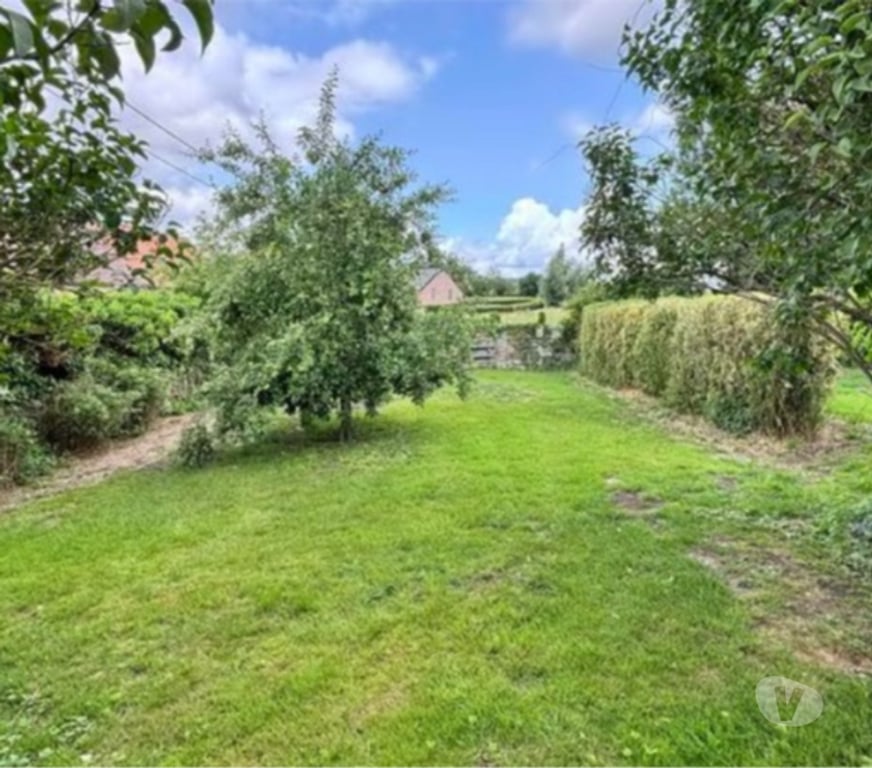 Annonce maison Chièvres Chièvres-Centrum - Photos Vivastreet Maison de caractère - Toiture & Châssis récents !