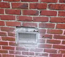 Photos Vivastreet SOS Guêpes & Frelons asiatiques ou européen