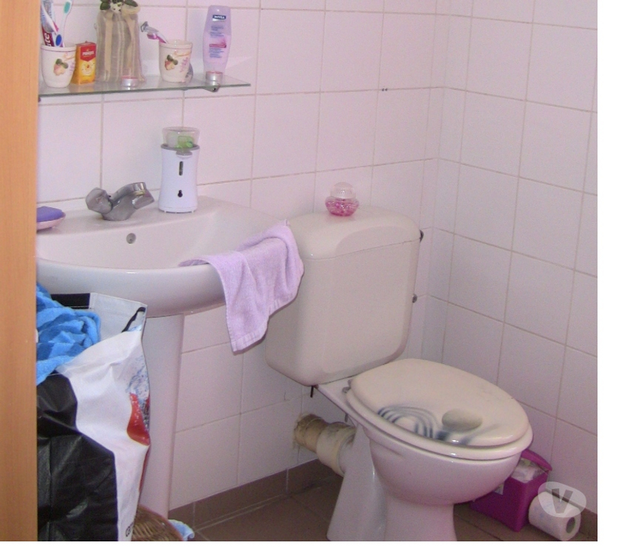 Location appartement Fexhe-le-Haut-Clocher - Photos Vivastreet APPARTEMENT A LOUER au RDC 40m² avec jardin - libre en mars