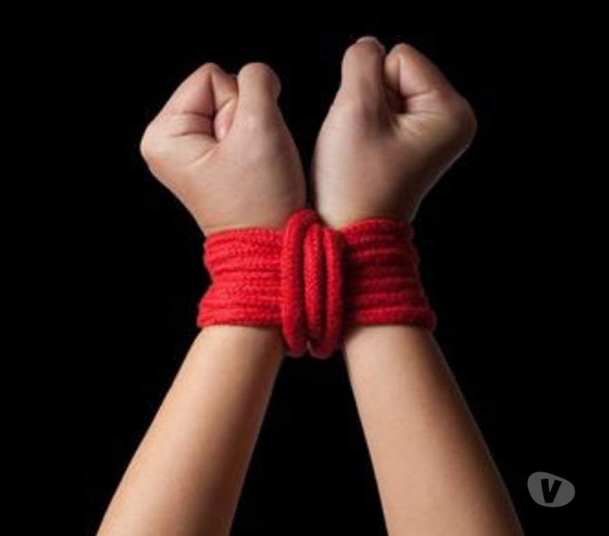 exhib Liège Liège-Centrum - Photos Vivastreet Maître reçoit Soumises