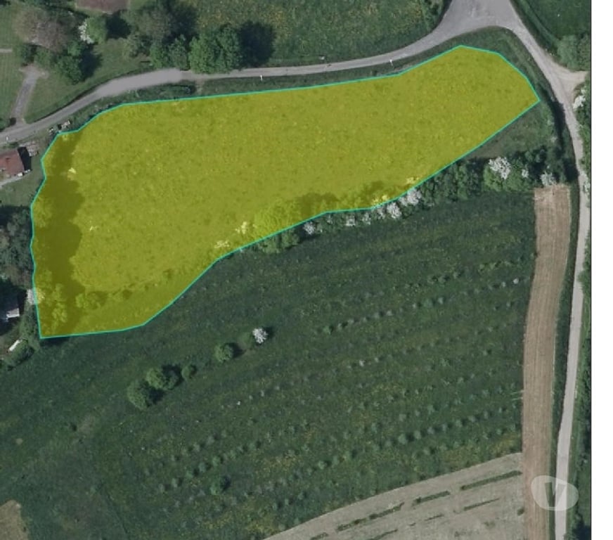 Terrains à vendre Walcourt Walcourt-Centrum - Photos Vivastreet Terrain à vendre à CERFONTAINE